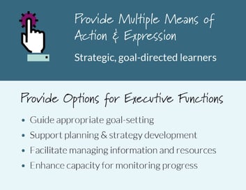 Executive Functions - UDL Guidelines