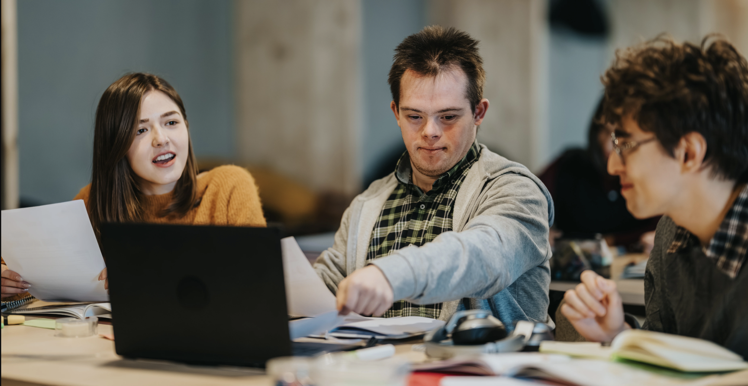 UDL and MTSS Professional Learning
