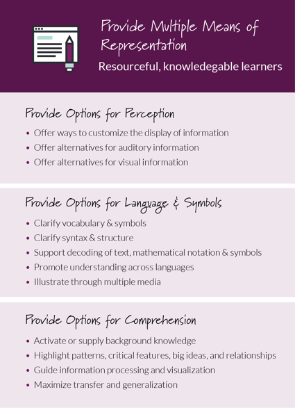 UDL Guidelines - Representation@2x