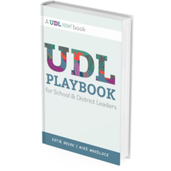 UDL Playbook 3d