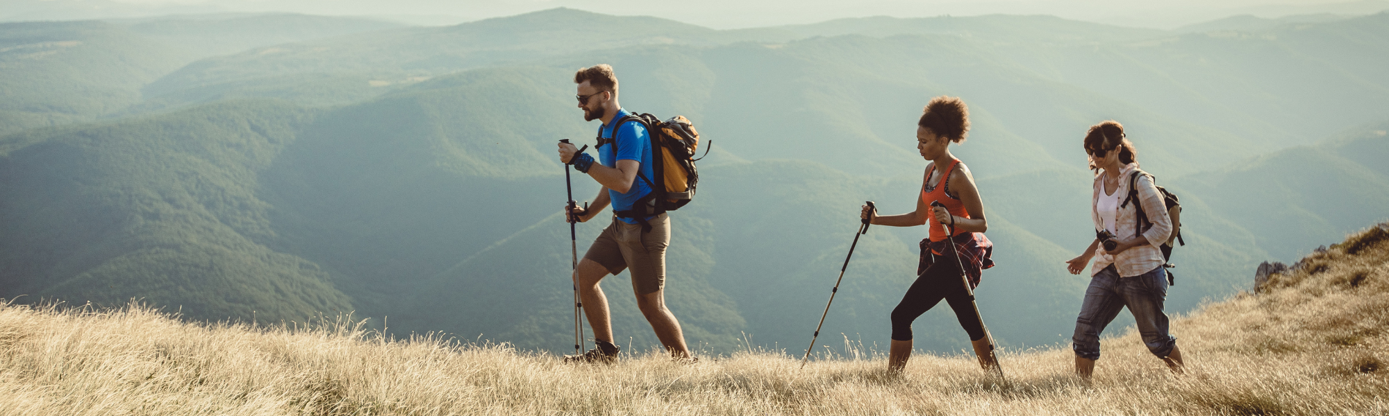 people walking on a hill